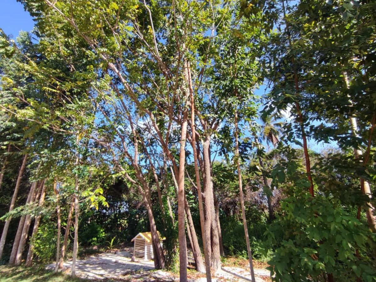 Casa Nova 2 Villa São José da Coroa Grande Екстериор снимка